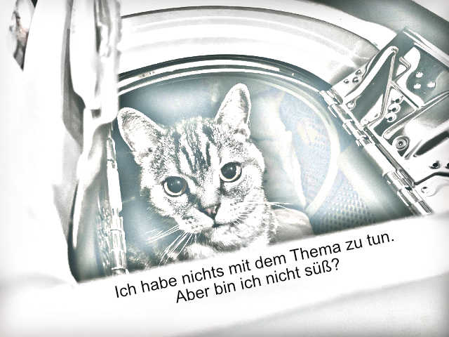 suesse-katze