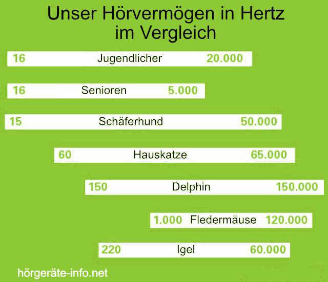 Hoergeraet