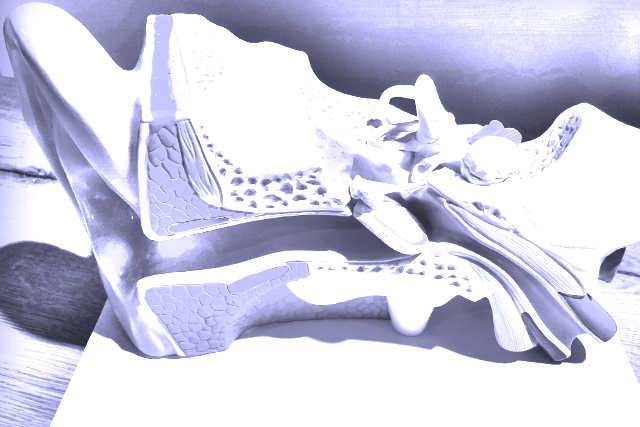 Probleme mit Ohrenschmalz und Schwindel