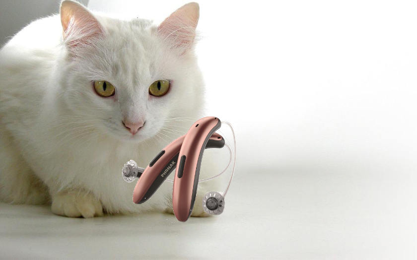 Extrem chic, super leistungsfähig und schlank – Phonak Slim
