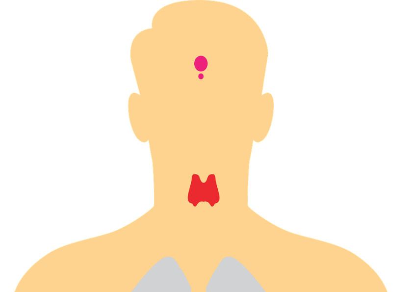 Schilddrüsenerkrankungen und Hörverlust